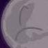 SCARED I Ll Show You SCARED SolarBalls My Tt Video