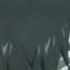 Judal