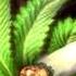 Cloud 9 Music Instrumental Ambient Type Weed Smoking Kid Cudi Type Beat