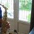 StephSAX Logical Song Supertramp Alto Saxophone Sax Solo With ALTO SAX EASTAR AS III