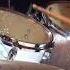 Black Velvet Drum Cover Alannah Myles