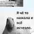 мем мемы мемыподборка кот коты мемасики мемыпрокотов мемыпрошколу мимимамому мимимамому
