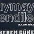 Kerem Güney Kıymayın Efendiler Orijinal Plak Kayıt