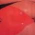 J Latino Sexxx Plastixxx Plastix Mix