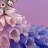 Flume Never Be Like You Feat Kai Official Audio Radio Edit