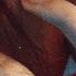 Lauren Auder Unseen Audio Ft Celeste
