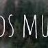 Artur Safoyan Basa Yara Mn Ezids Music