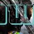 Despotem Show Me Lyrics Video Music Nation