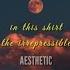 The Irrepressibles In This Shirt Speed Up