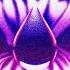 Bob Sinclar Cruel Summer Again Club Mix 2025