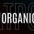 Top 100 Organic House December 2024