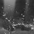 BONES SingingInTheRain Singing In The Rain IFeelLikeDirt I Feel Like Dirt