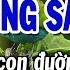 Karaoke Cầu Vòng Sau Mưa Tone Nam Karaoke Beat 84