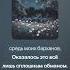 Suno Ai Эх обманщица любовь Шансон