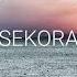 Nora En Pure Aquatic
