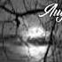 Ave Libertas Augosto Dos Anjos Poem