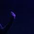 Smokepurpp 6 Rings LIVE 12 14 2016