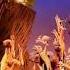 The Lion King On Broadway Photo Book LionKingOnBroadway