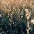 Summer Never Ends 044 Progressive House Mix Scorching Days Edition