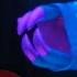 DE EXTINCTION Subnautica Creative