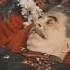 Why USSR Removed Stalin S Body From Lenin S Tomb MilitaryTube Shorts