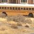 Elf On The Shelf Makes Kid Miss School Bus By Turning Off Alarm Clock Original