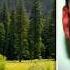 The Yosemite Park Predator A Deadly Killing Spree Uncovered Season 4 Episode 2 Forensic Factor