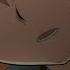 Higurashi When They Cry SOTSU Official Trailer