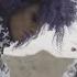Jennifer Dias Ce Soir Official Video
