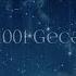 İlkin 1001 Gecə
