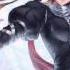 Nightcore Rise Skillet