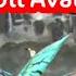 GAMELOFT OLD AVATAR GAME DOWLOAD LINK Gameloft Youtubeazerbaycan Avatarreckoning Short
