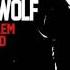 Mr Wolf Why Do I Feel So Down 2013