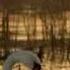 Secret Garden Swan Lyrics