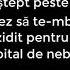 Eroina Esti Tu Lyrics Versuri Adrian Păunescu Muzica Mihai Napu