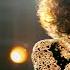 Whitney Houston I Wanna Dance With Somebody Official Trailer Only In Cinemas Now