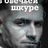 Манипулятор в овечьей шкуре Как не стать жертвой его уловок АУДИОКНИГА БЕСПЛАТНО