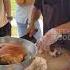 Malaysian Crispy Roasted Pork Cutting