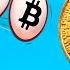 КАК СДЕЛАТЬ ШОКОЛАДНЫЙ БИТКОИН РЕЦЕПТ ОТ ЖЕЛЕЙНОГО МЕДВЕДЯ ВАЛЕРЫ