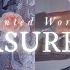 𝐂𝐎𝐒𝐌𝐈𝐂 𝐅𝐎𝐑𝐔𝐌𝐋𝐀 TREASURE BOX Manifest All Your Ideal Item S Instantly