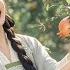 FULL System Space Online She Farms By Day Avenges By Night Minidrama Romance
