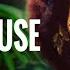 AFRO HOUSE Café 2025 Mystic Deep Organic House Mix
