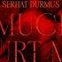 Serhat Durmus How Much You Hurt Me Official Audio