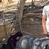 Nomadic Life Fencing The Nomadic Garden Nomadic Couple Style Livestock