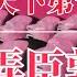 天下第一不要脸 弄臣郭沫若 毛泽东 周恩来 犬儒主义 胡适 鲁迅 林语堂 郭沫若评价 郭沫若 天狗 郭沫若怎么死的 郭沫若争议 郭沫若盗墓 郭沫若书法 郭沫若的诗