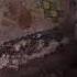 The Abbey Of Thelema 2007 To 2017 The Spirit Flee With The Destroying