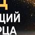 999 гц Исцеляющий Свет Творца Активация Божественной Энергии на всех уровнях Световой Души