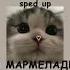 1 HOUR Катя Лель Мой мармеладный Sped Up