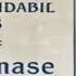 Maria Tănase Habar N Ai Tu VIDEO