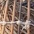 Female Quail Sound New Female Batair Sounds Mada Batair Ki Awaz